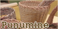 Punumine